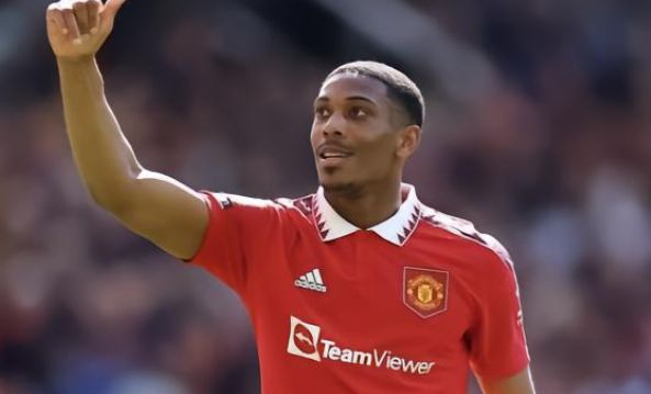 蜂重回西部 蜂重回西部