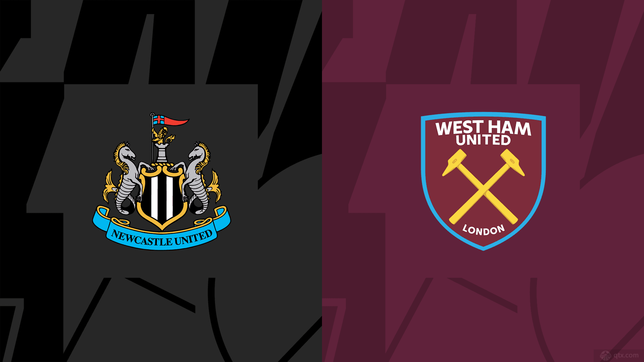 本赛季似乎 本赛季似乎